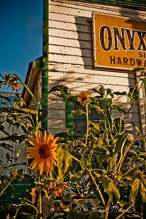 Onyx Store