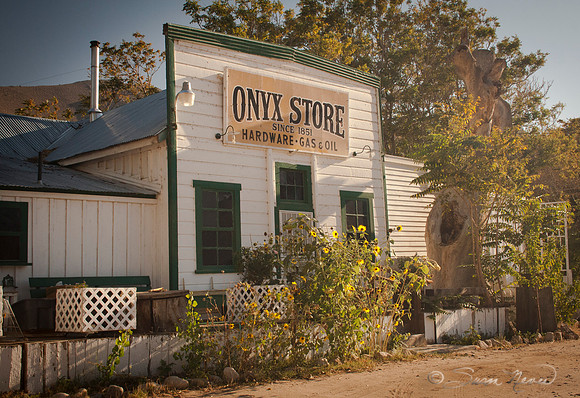 The Onyx STore