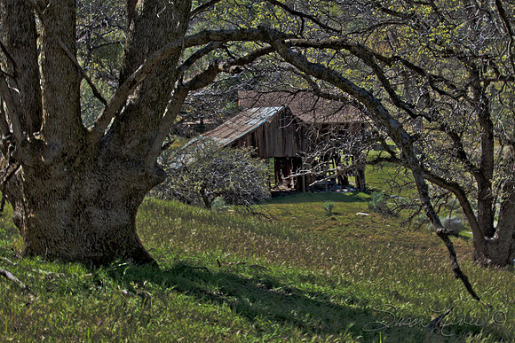 Walker Barn and Cabin