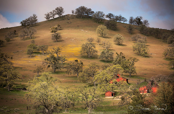 Red Barns Hillside