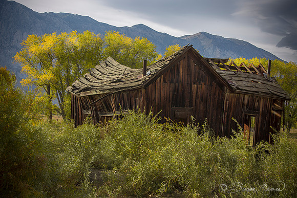 Once upon a home, now a shack.